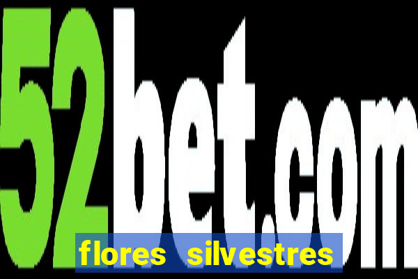 flores silvestres desbravadores desbravadores 25 flores silvestres e seus nomes